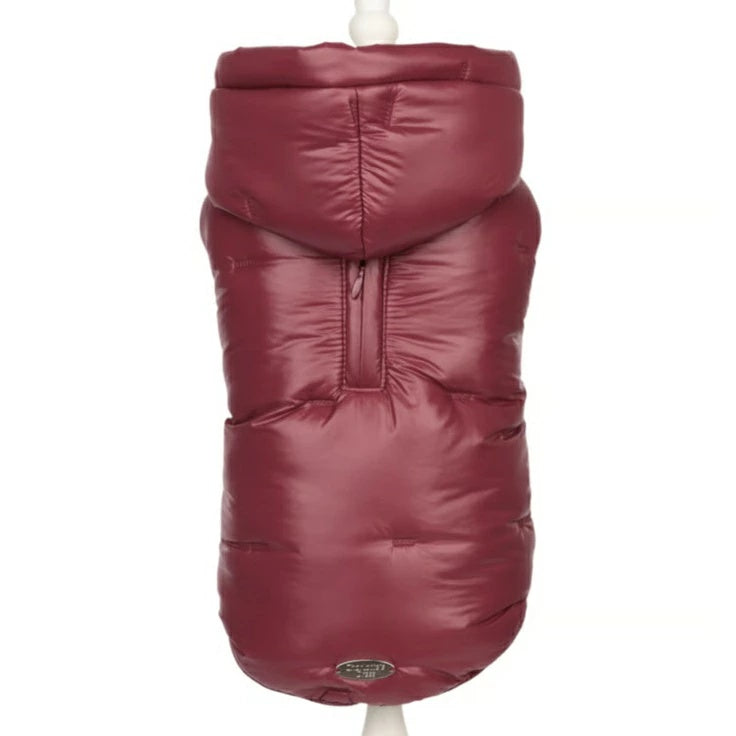 シャーロットドレス Charlotte's Dress Art.1113 jacket City Chic【犬服 アウター ジャケット セレブ】