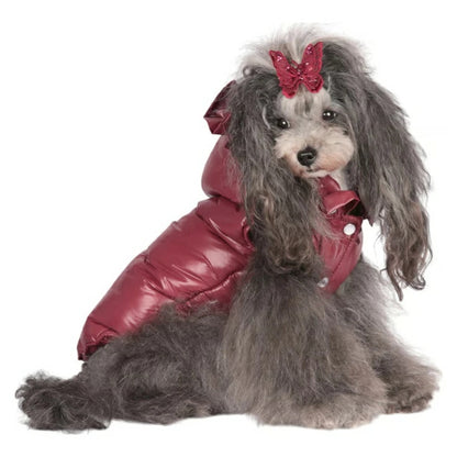 シャーロットドレス Charlotte's Dress Art.1112 jacket Nicole【犬服 アウター ジャケット セレブ】