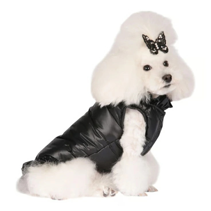 シャーロットドレス Charlotte's Dress Art.1110 jacket Sephora【犬服 アウター ジャケット セレブ】