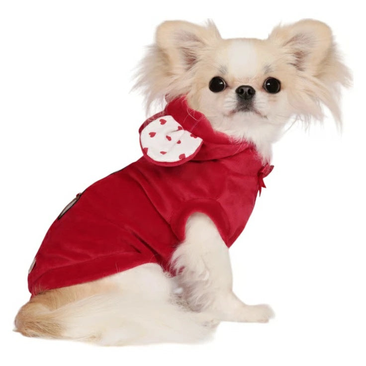 シャーロットドレス Charlotte's Dress Art. 3176 sweatishirt Ginger【犬服 トップス セーター ニット セレブ】