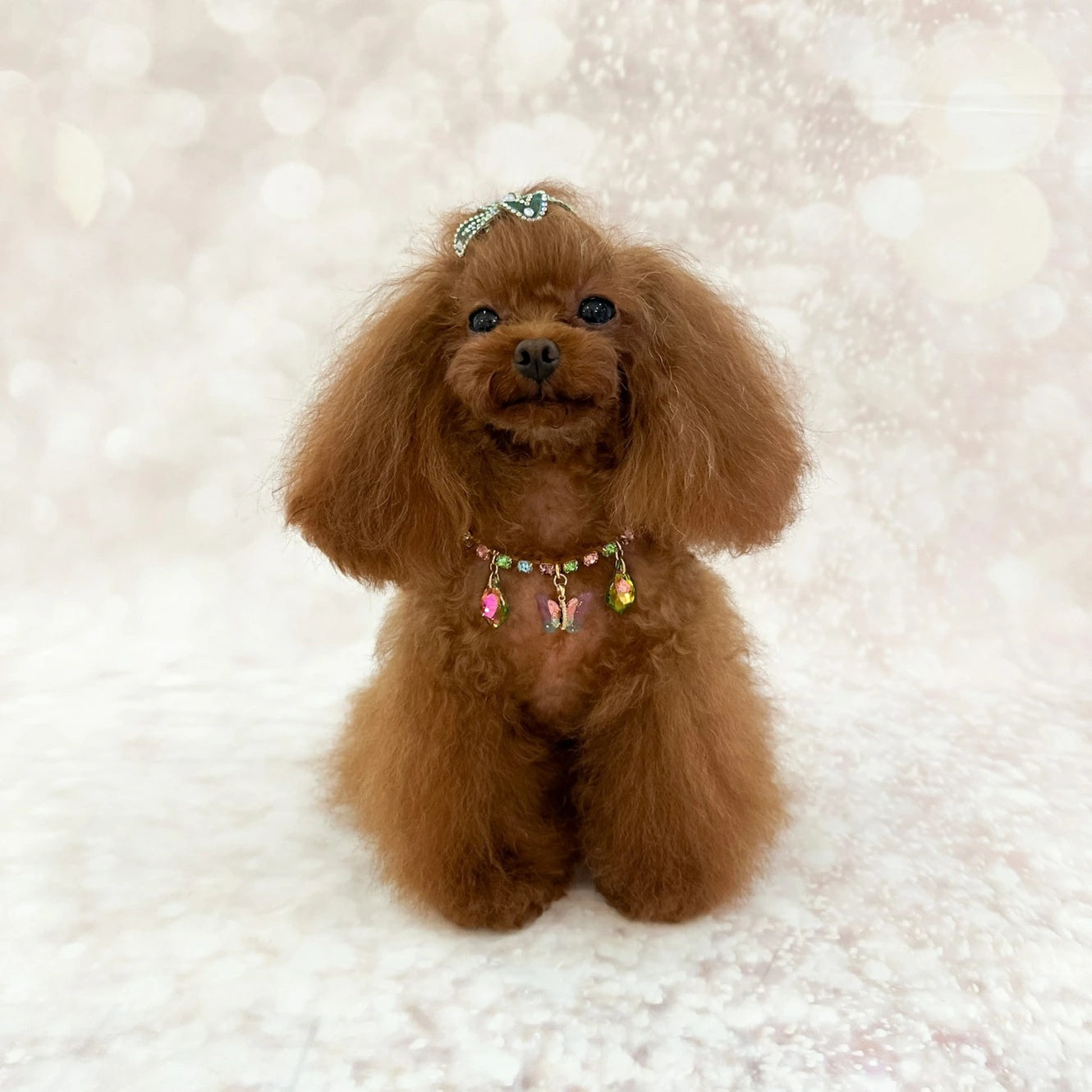 フォーペッツオンリー For Pets Only Eden Garden Bijoux【犬用 アクセサリー ネックレス セレブ】