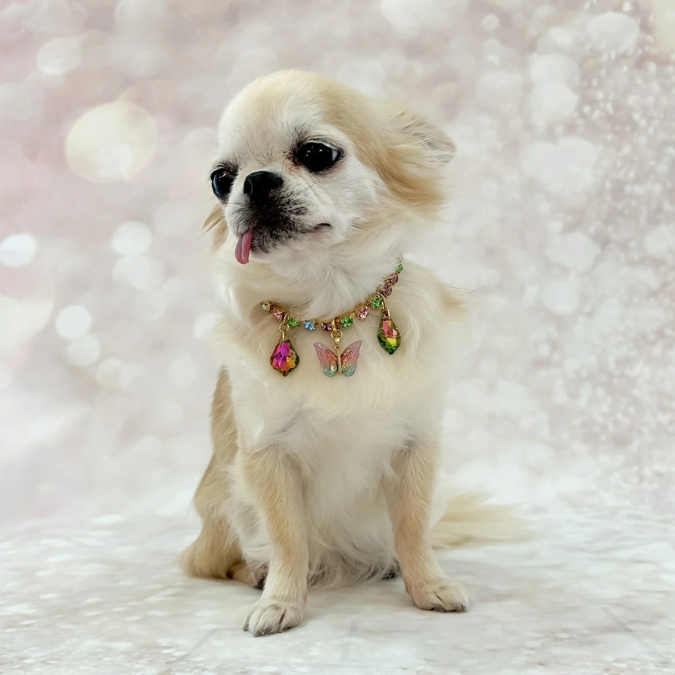 フォーペッツオンリー For Pets Only Eden Garden Bijoux【犬用 アクセサリー ネックレス セレブ】