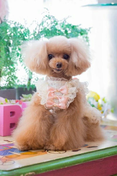 ブルブブ BUL BU-BU シャーリングキャミ【小型犬 犬服 トップス キャミソール タンクトップ セレブ】