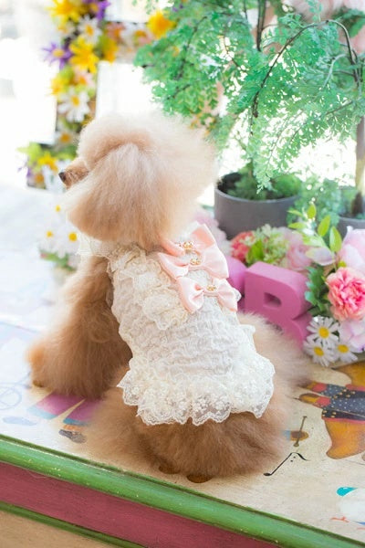 ブルブブ BUL BU-BU シャーリングキャミ【小型犬 犬服 トップス キャミソール タンクトップ セレブ】