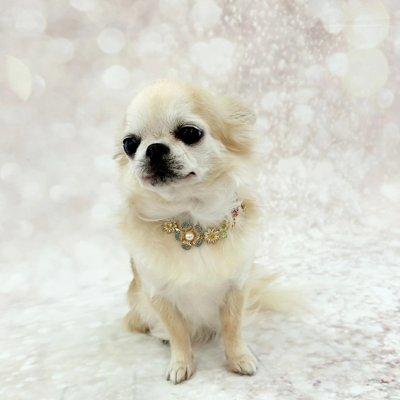 フォーペッツオンリー For Pets Only Garden Gem Bijoux【犬用 アクセサリー ネックレス セレブ】