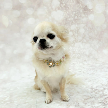 フォーペッツオンリー For Pets Only Garden Gem Bijoux【犬用 アクセサリー ネックレス セレブ】
