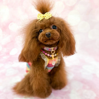 フォーペッツオンリー For Pets Only You Are My Rainbow Necklace【犬用 アクセサリー ネックレス セレブ】