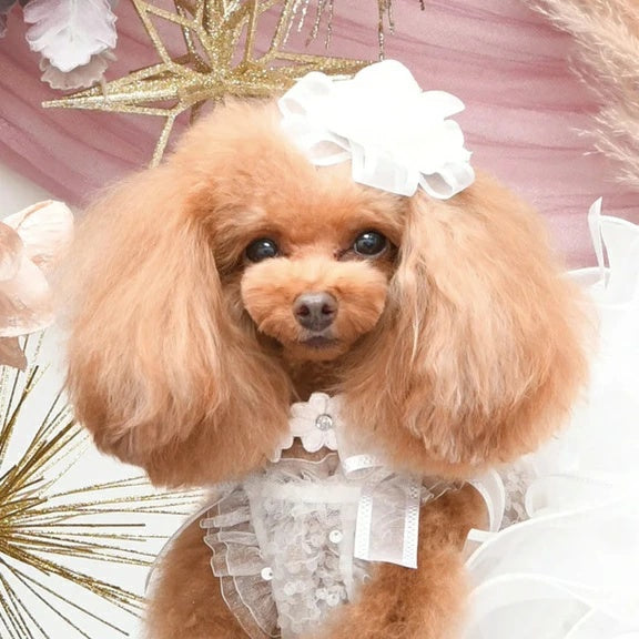 リュクスバーディ ルージュワンピース バレッタセット リュクス