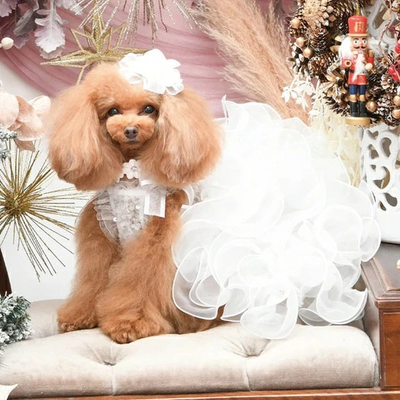 リュクスバーディ Luxe birdie フェ・ブランシュドレス【小型犬 犬用 犬服 ワンピース ドレス スカート セレブ】
