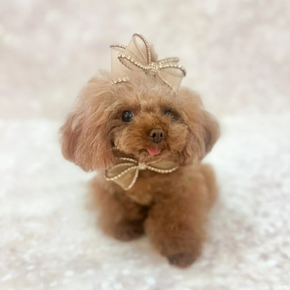 フォーペッツオンリー For Pets Only Perfection In A Bow Hairclip Camel【犬用 ヘアアクセサリー クリップ セレブ】