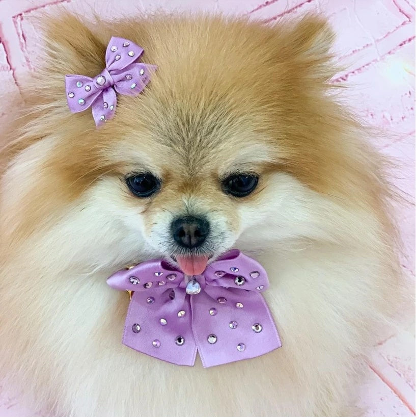 フォーペッツオンリー For Pets Only Sunshine Bow Lilac Hairclip【犬用 ヘアアクセサリー クリップ セレブ】
