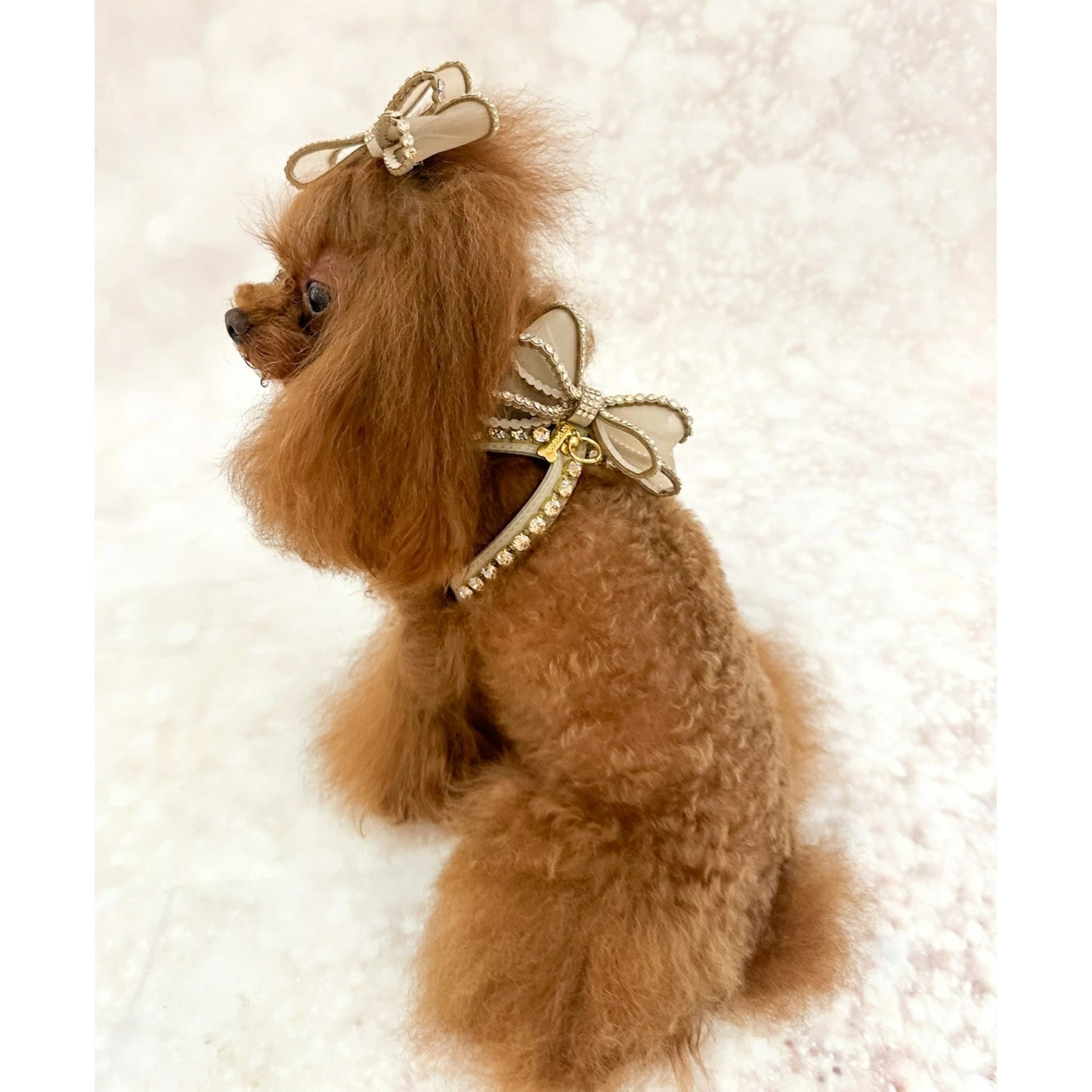フォーペッツオンリー For Pets Only Perfection In a Bow Harness Greige【犬用 ハーネス 一体型 セレブ】