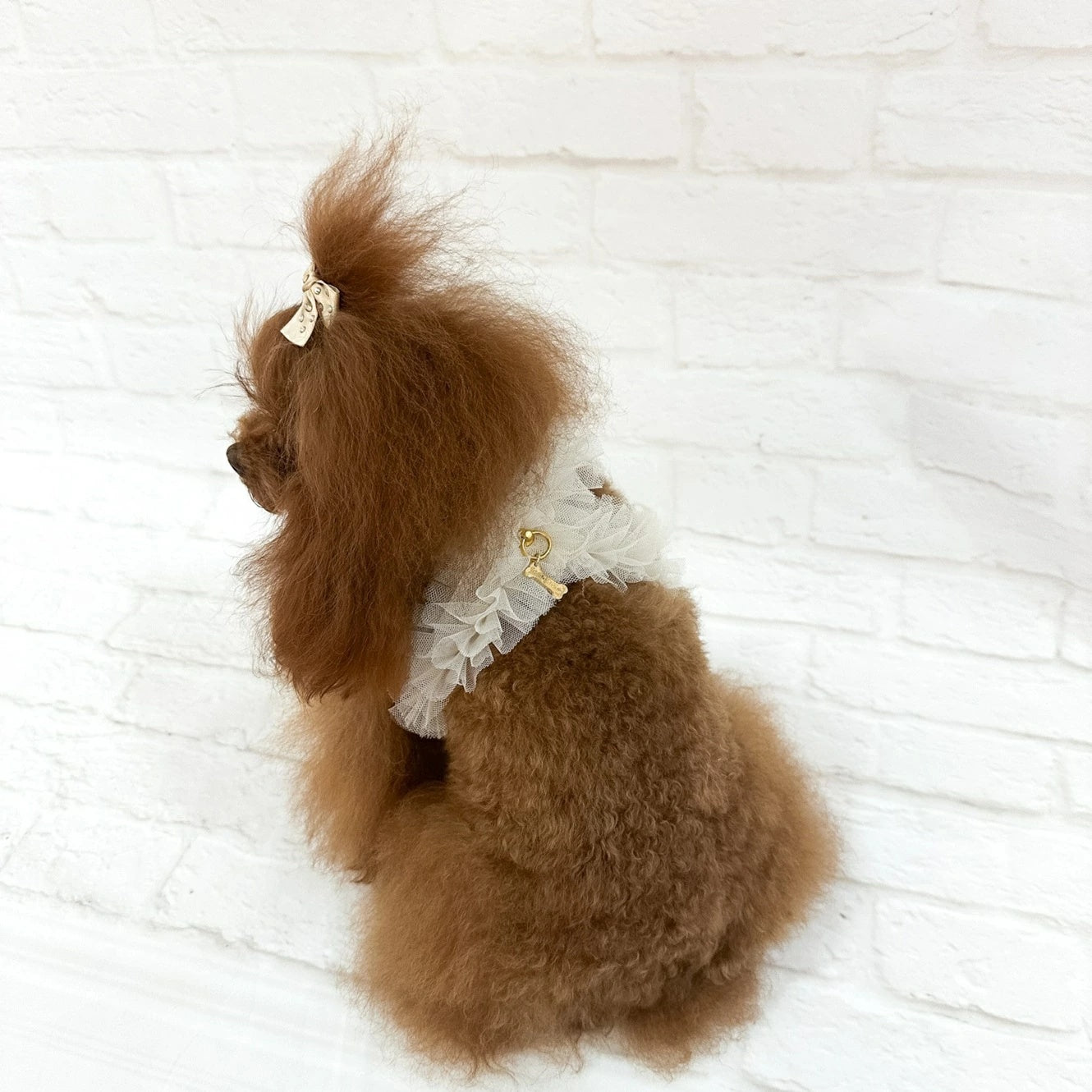 フォーペッツオンリー For Pets Only Ballerina Harness Greige【犬用 ハーネス 一体型 セレブ】