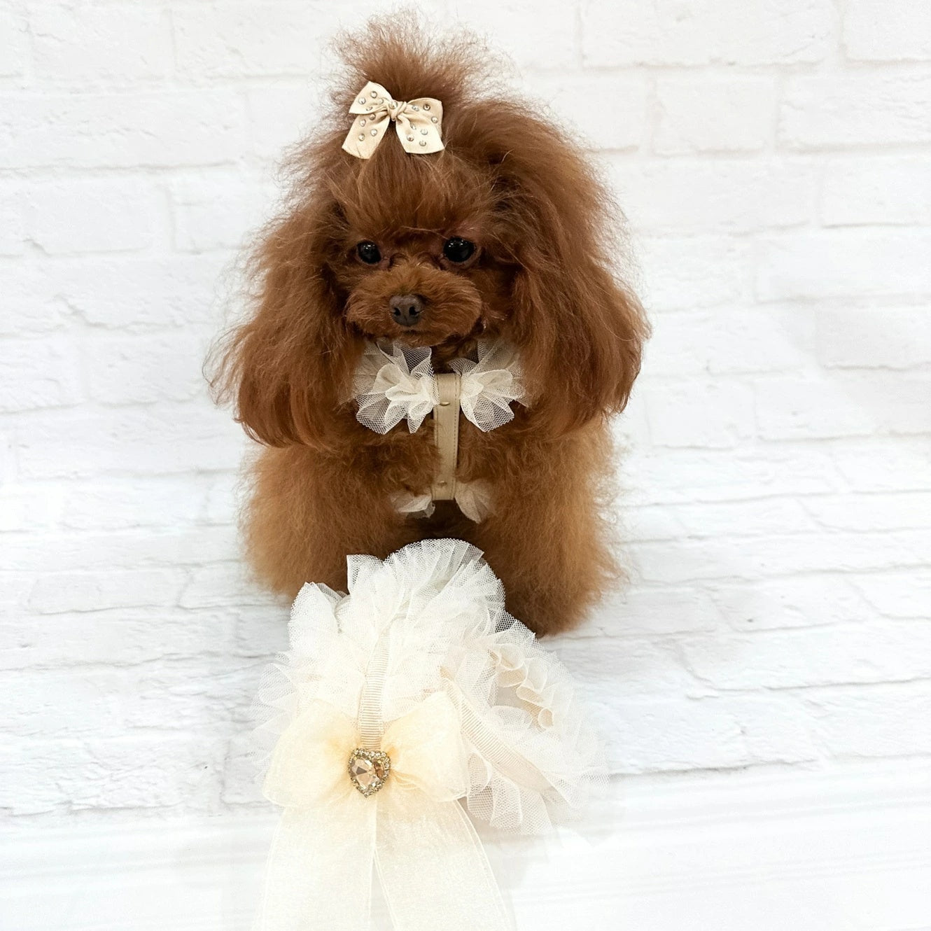 フォーペッツオンリー For Pets Only Ballerina Lingerie Leash Cream【小型犬用 犬用 リード お散歩 セレブ】