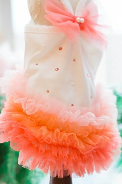 ブルブブ BUL BU-BU COOL グラデO/P【小型犬 犬服 トップス