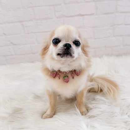 フォーペッツオンリー For Pets Only Strawberry Bling Collar【小型犬用 犬用 カラー 首輪 お散歩 セレブ】