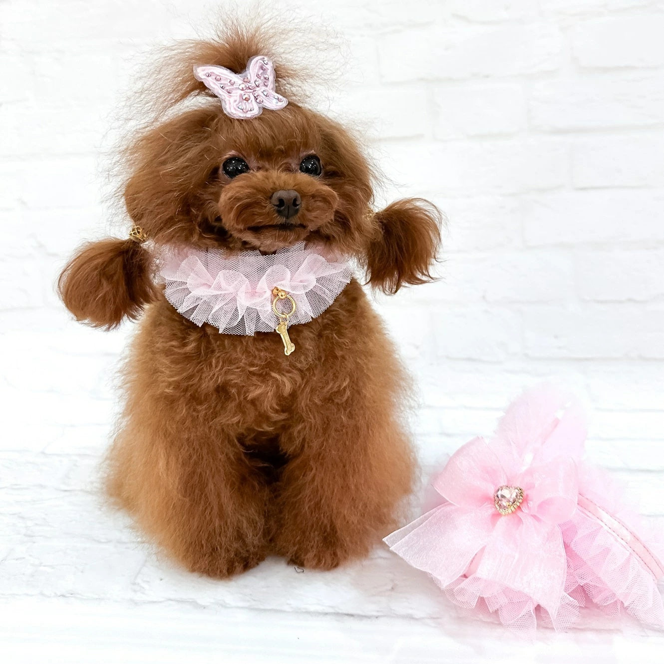 フォーペッツオンリー For Pets Only Ballerina Collar Pink【小型犬用 犬用 カラー 首輪 お散歩 セレブ】