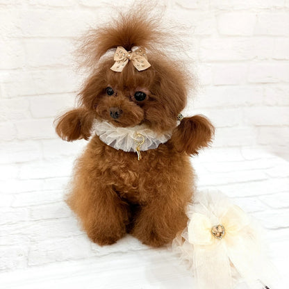 フォーペッツオンリー For Pets Only Ballerina Collar Greige【小型犬用 犬用 カラー 首輪 お散歩 セレブ】