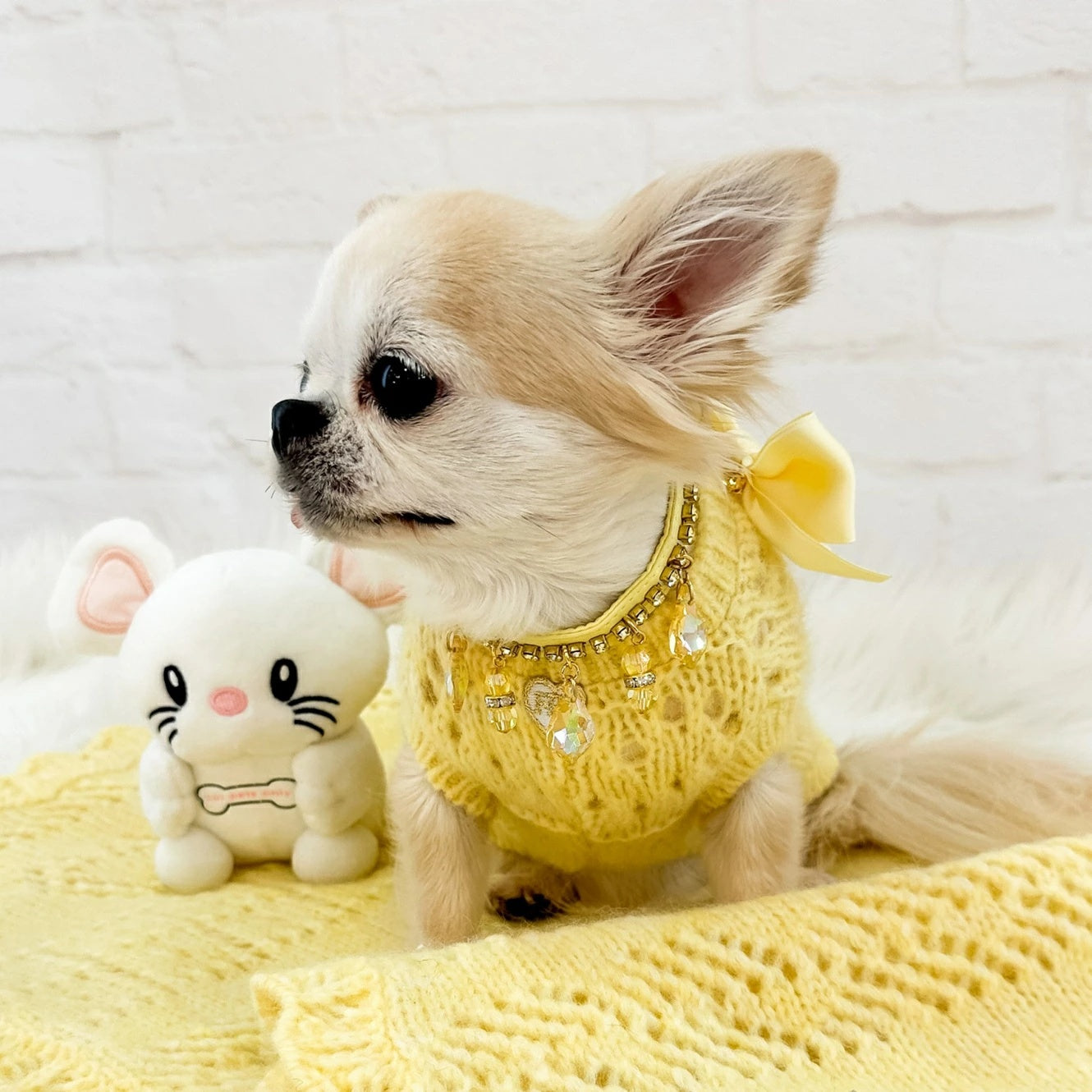 フォーペッツオンリー For Pets Only Magic Sun Drops Collar【小型犬用 犬用 カラー 首輪 お散歩 セレブ】