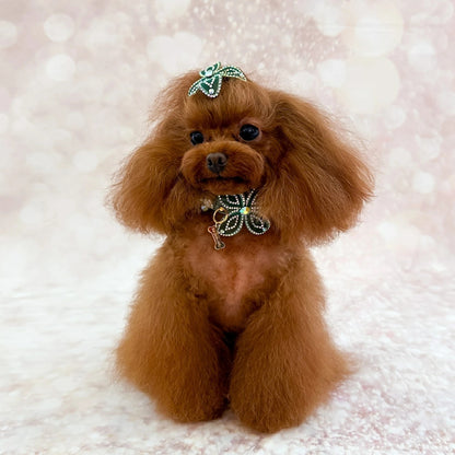 フォーペッツオンリー For Pets Only Beryl Green Collar【小型犬用 犬用 カラー 首輪 お散歩 セレブ】