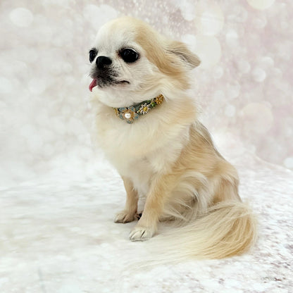 フォーペッツオンリー For Pets Only Garden Gem Collar【小型犬用 犬用 カラー 首輪 お散歩 セレブ】