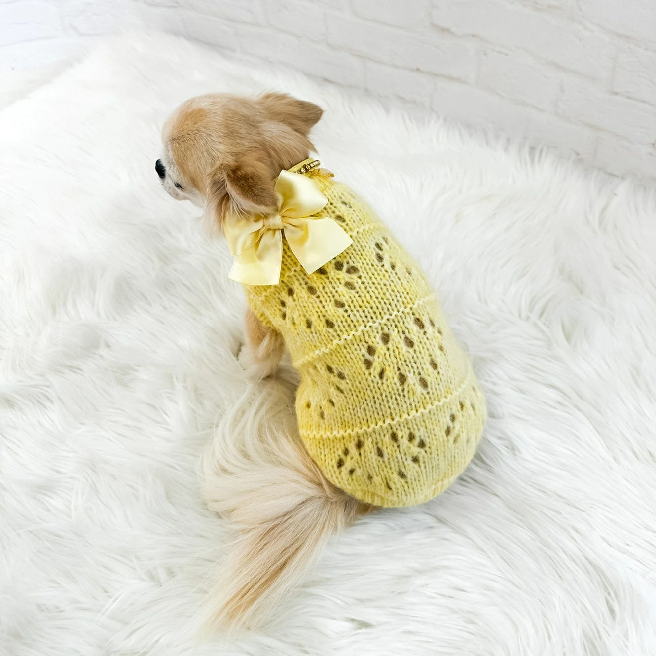 フォーペッツオンリー For Pets Only Les B?b?s Pull Yellow【小型犬用 犬服 トップス ニット セーター セレブ】