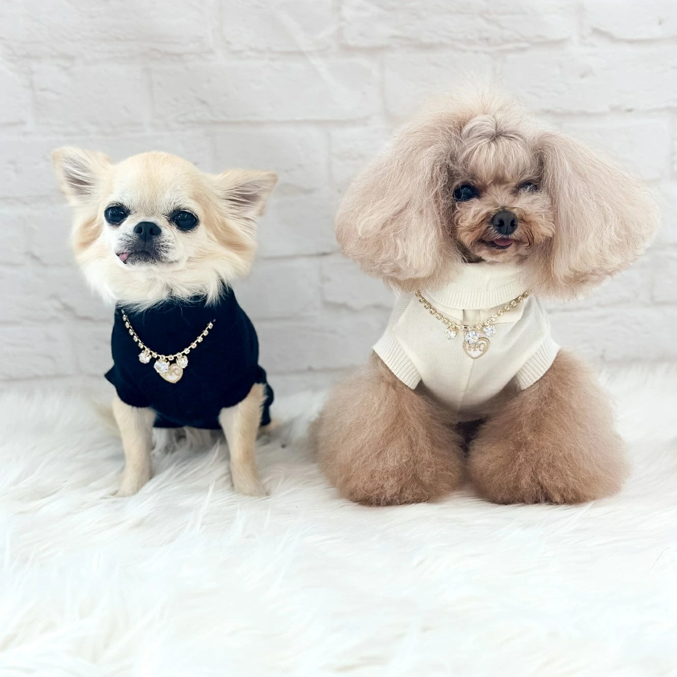 フォーペッツオンリー For Pets Only Amore Mio Dolcevita【小型犬用 犬服 トップス ハイネック セレブ】