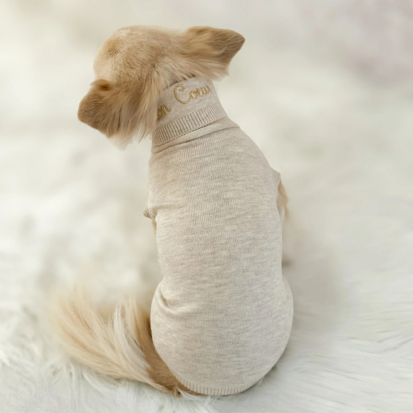 フォーペッツオンリー For Pets Only Mon Coeur Dolcevita【小型犬用 犬服 トップス ハイネック セレブ】