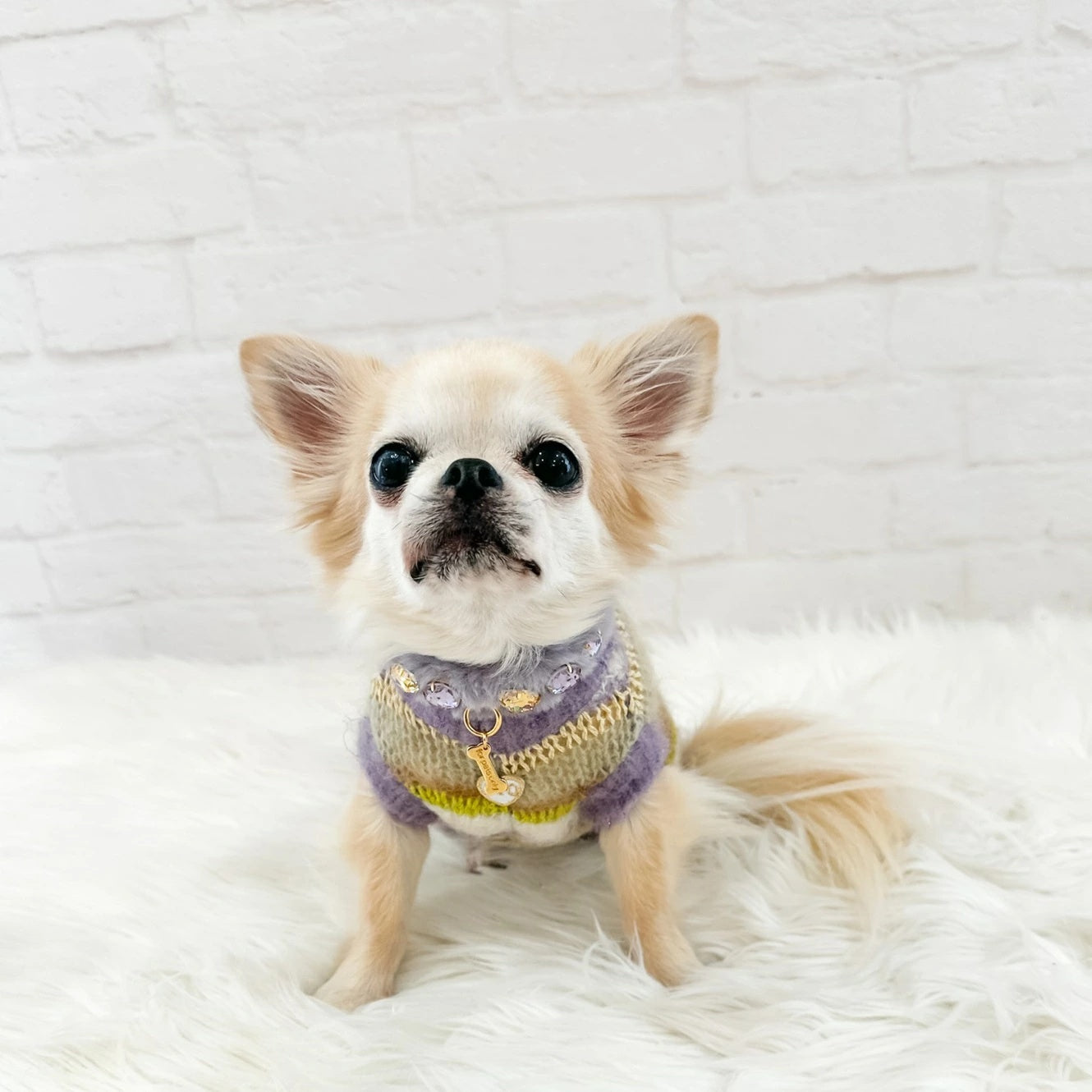 フォーペッツオンリー For Pets Only Righe Da Favola Pull Lilac【小型犬用 犬服 トップス ニット セーター セレブ】