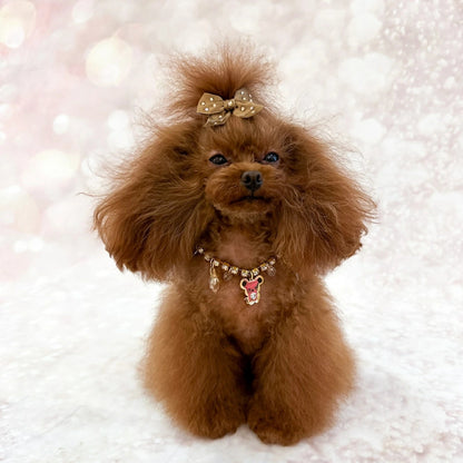 フォーペッツオンリー For Pets Only My TopoMio Luxury Lifestyle Bijoux【小型犬 犬用 アクセサリー ネックレス セレブ】