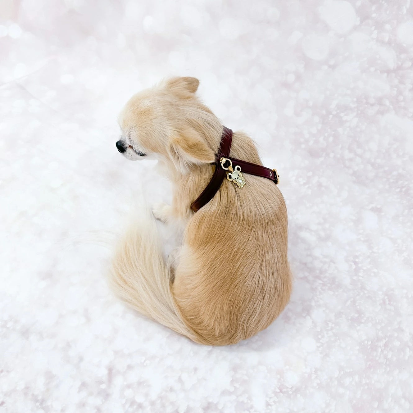 フォーペッツオンリー For Pets Only TopoMio Lover Harness Burgundy【小型犬用 犬用 ハーネス セレブ】