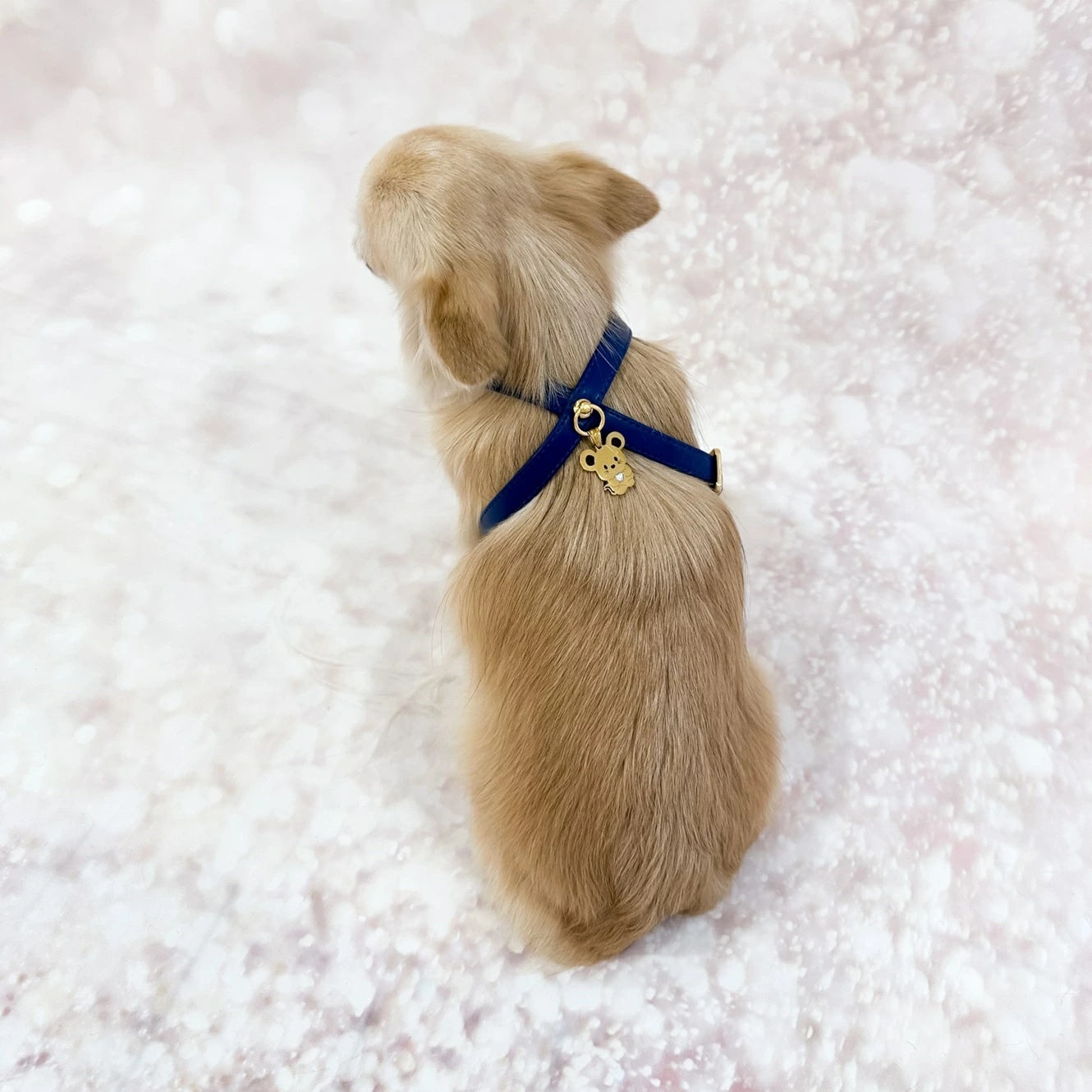 フォーペッツオンリー For Pets Only TopoMio Lover Harness Deep Blue【小型犬用 犬用 ハーネス セレブ】