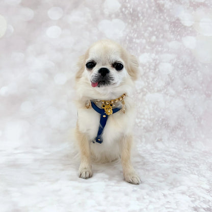 フォーペッツオンリー For Pets Only TopoMio Lover Harness Deep Blue【小型犬用 犬用 ハーネス セレブ】