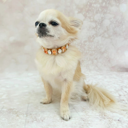 フォーペッツオンリー For Pets Only Amber Princess Collar【小型犬用 犬用 カラー 首輪 セレブ】