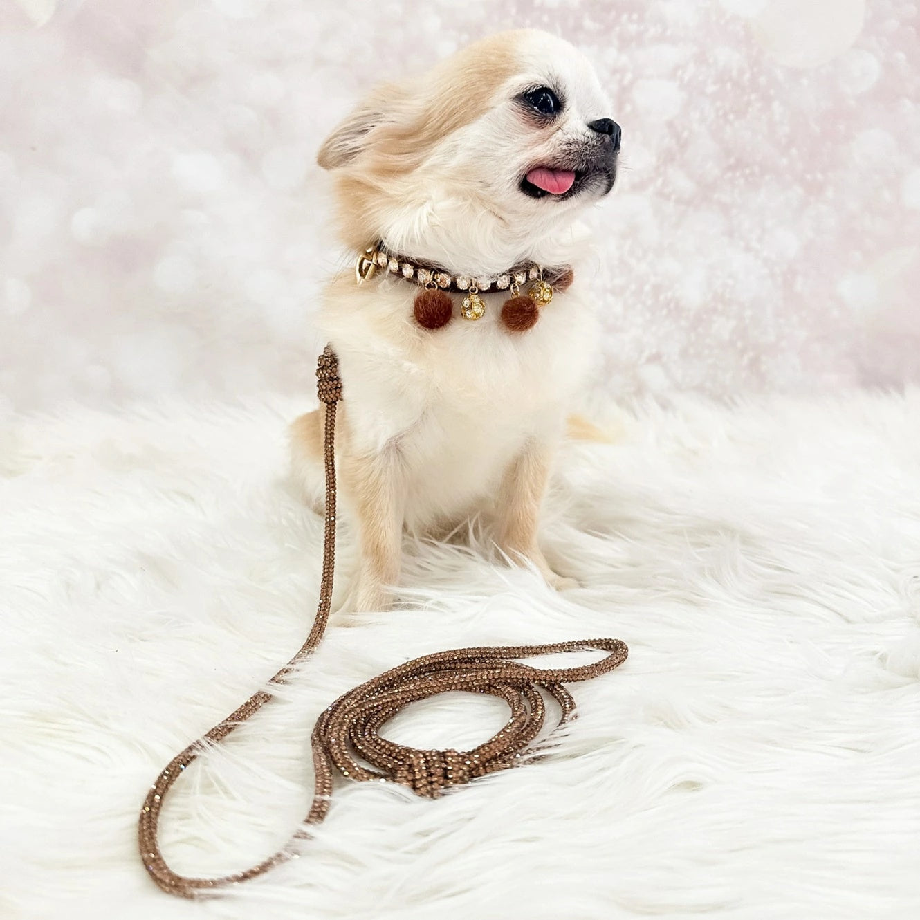 フォーペッツオンリー For Pets Only Caramel Game Collar【小型犬用 犬用 カラー 首輪 セレブ】