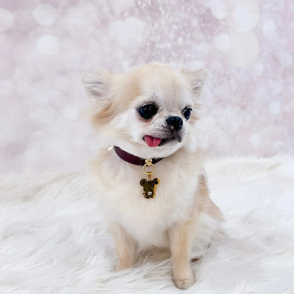 フォーペッツオンリー For Pets Only TopoMio Lover Collar Burgundy【小型犬用 犬用 カラー 首輪 セレブ】