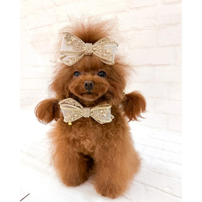 フォーペッツオンリー For Pets Only Eternal Champagne Collar【小型犬用 犬用 カラー 首輪 セレブ】