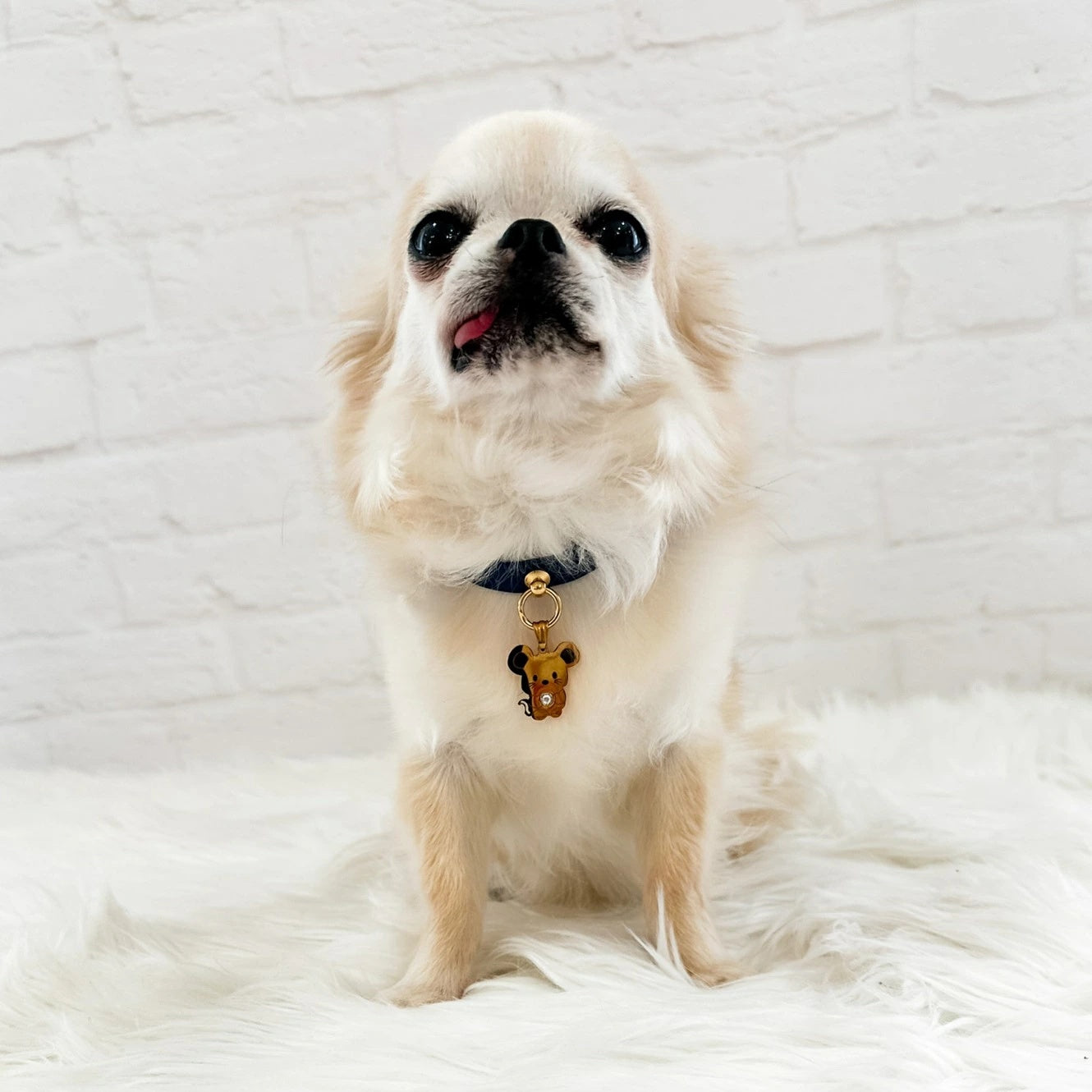 フォーペッツオンリー For Pets Only TopoMio Lover Collar Deep Blue【小型犬用 犬用 カラー 首輪 セレブ】