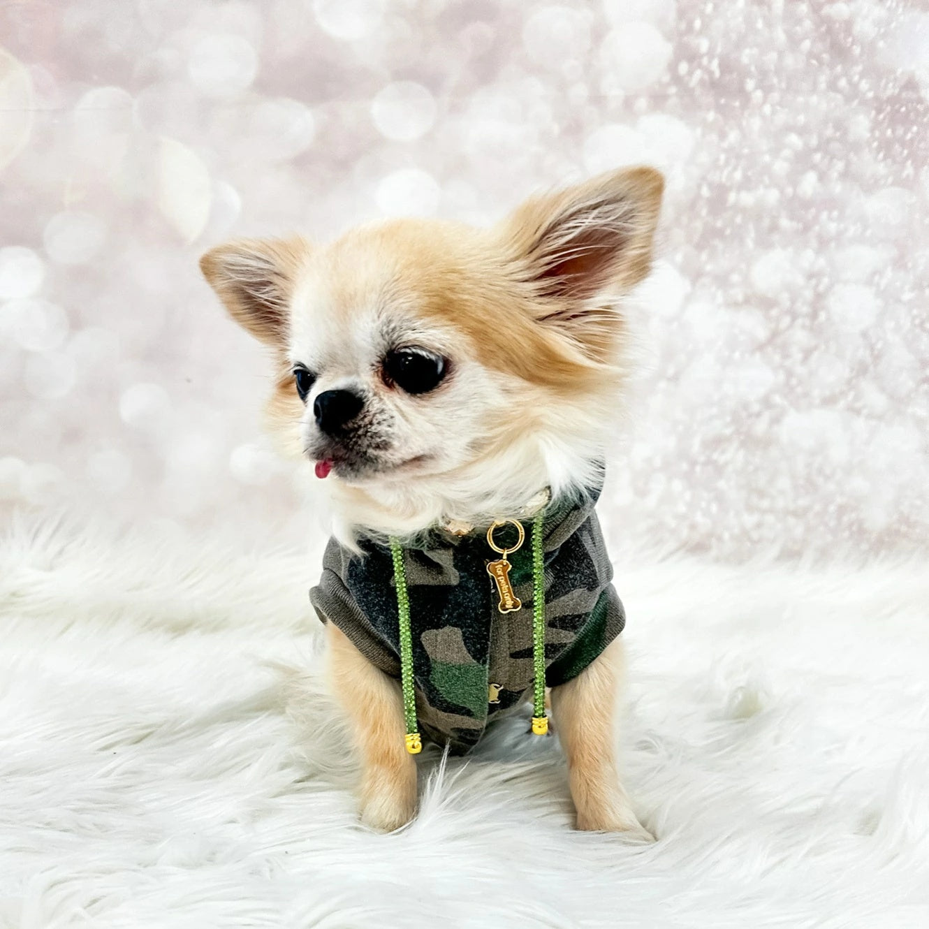 フォーペッツオンリー For Pets Only TopoMio Bomber Camo【小型犬用 犬服 アウター セレブ】