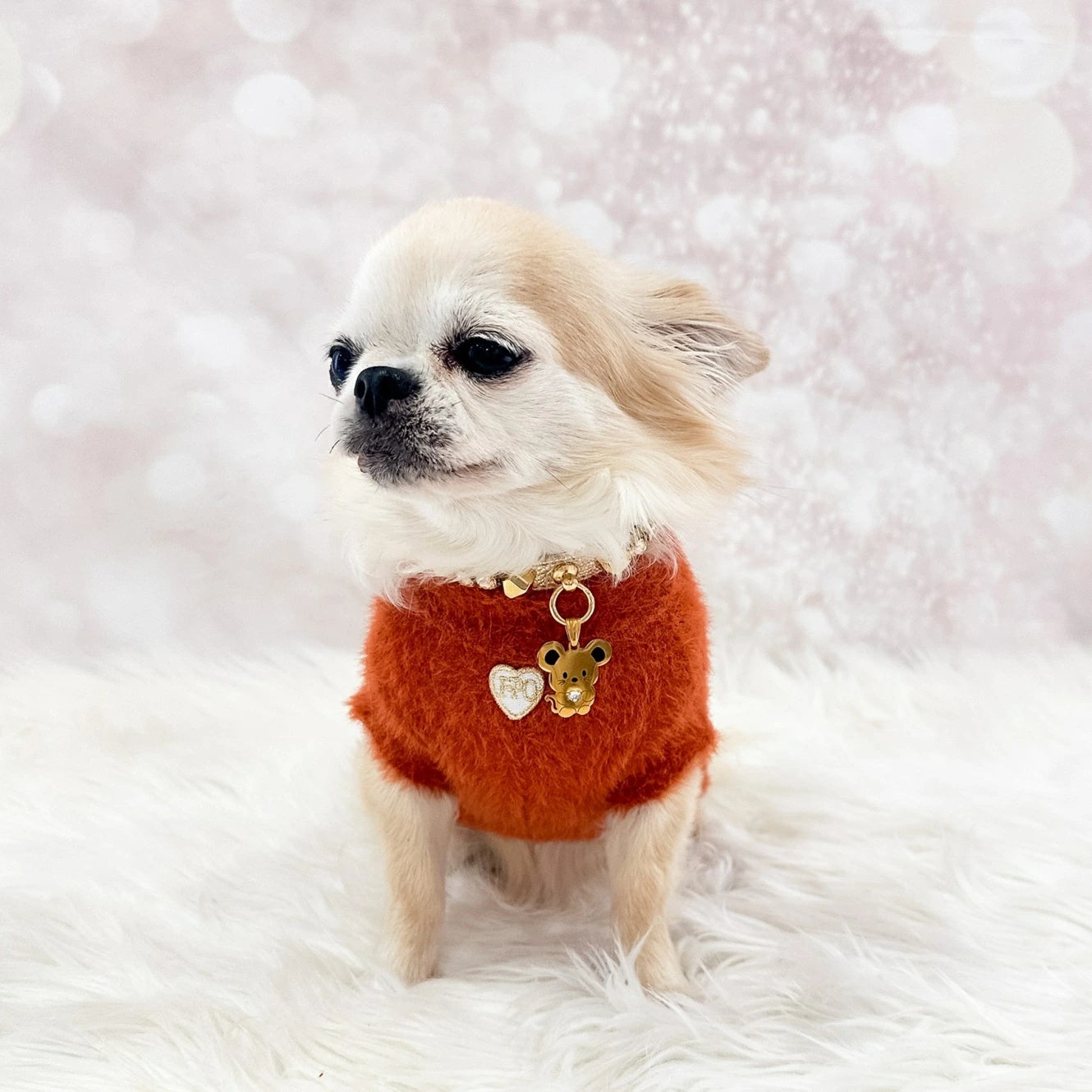 フォーペッツオンリー For Pets Only Je M'en Fous Pull【小型犬用 犬服 トップス セーター ニット セレブ】