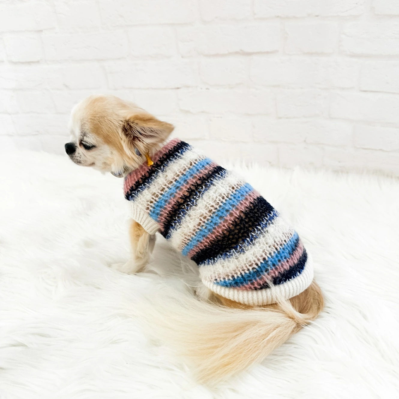 フォーペッツオンリー For Pets Only Righe Da Favola Pull Blue【小型犬用 犬服 トップス セーター ニット セレブ】