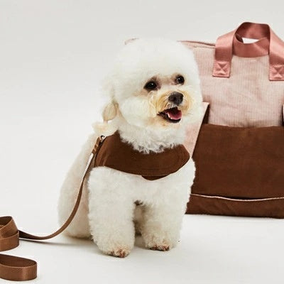 ルイスドッグ louisdog Walk With Me/Blush Suede【小型犬 犬用 ハーネス セット リード セレブ】