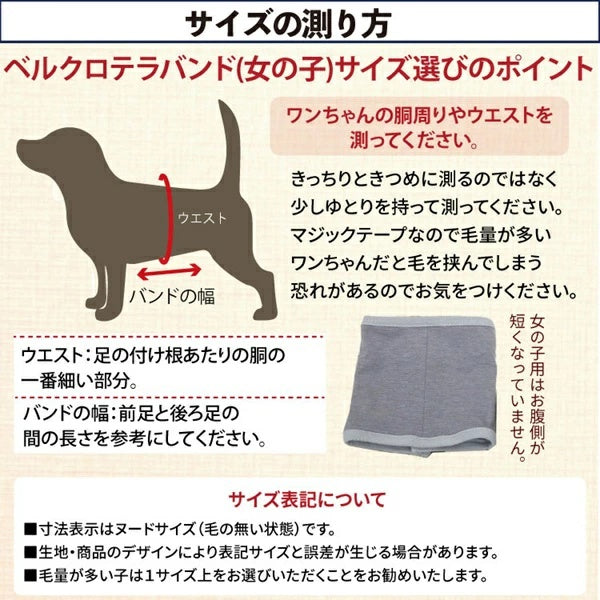 クークチュール Coo Couture ☆9月上旬入荷予定☆ ヴィシーベルクロバンドGIRL (マジックテープ付き腹巻き）［7337］【小型犬 犬服 腹巻 介護服】