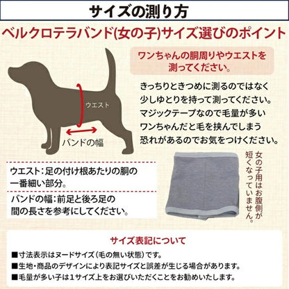 クークチュール Coo Couture ☆9月上旬入荷予定☆ ヴィシーベルクロバンドGIRL (マジックテープ付き腹巻き）［7337］【小型犬 犬服 腹巻 介護服】