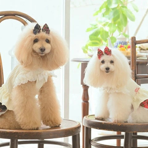 きゃんナナ CanNana クラシカルタータンミニバレッタ LB-326【小型犬 犬用 ヘアアクセサリー バレッタ】