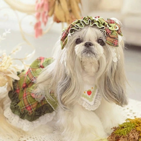 きゃんナナ CanNana ☆9月下旬入荷予定☆ タータンチェックヘッドドレス HD-031【小型犬 犬用 ヘアアクセサリー ヘッドドレス】