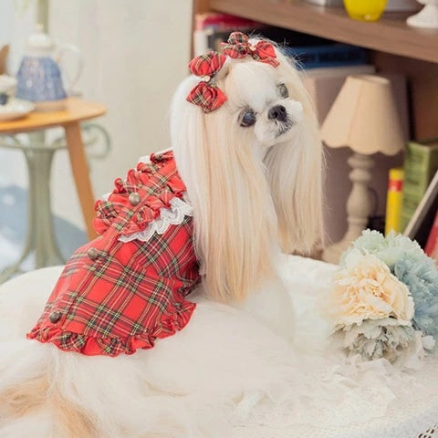 きゃんナナ CanNana クラシカルフリルブラウス 1167【小型犬 犬服 トップス ブラウス シャツ】