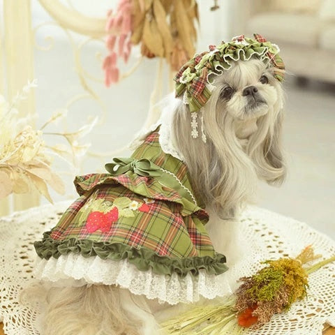 きゃんナナ CanNana レトロいちごタータンチェックワンピース グラスグリーン 1164【小型犬 犬服 ワンピース ドレス スカート】