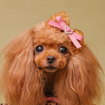 ゴッドピヴァ GODPIVA レオパードパフバレッタ【小型犬 犬用 ヘアアクセサリー バレッタ セレブ】