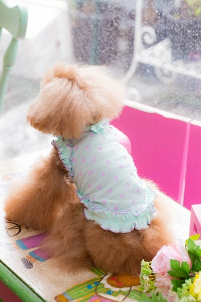 ブルブブ BUL BU-BU Dots Camisole【小型犬 犬服 トップス キャミソール セレブ】